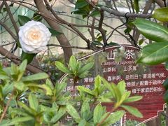 -黄兴公园
