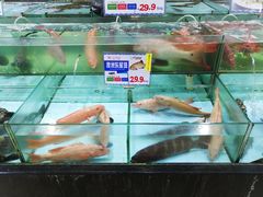 -渔民新村(番禺总店)