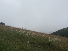 -永泰中国云顶