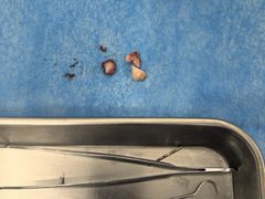 -武汉第一口腔医院(建设大道总院)