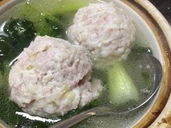-丁老爷子苏香圆