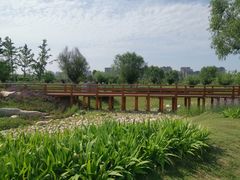 -汉长安城未央宫国家考古遗址公园