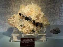 -甘肃地质博物馆