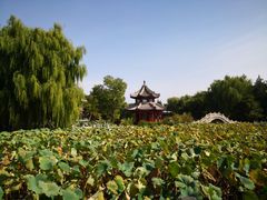 -莲池书院博物馆