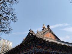 -护国法轮寺