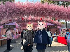 -南汇桃花村