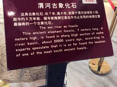 -老磨油饼(高陵店)