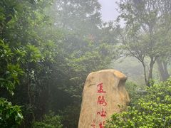 -梧桐山风景名胜区