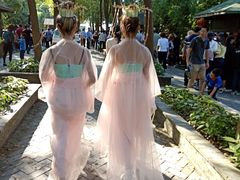 -溱湖国家湿地公园