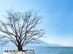 -大理洱海