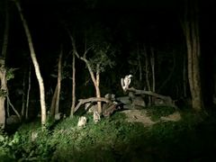-清迈夜间动物园