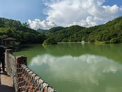 -广州白江湖森林公园