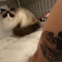 -雕哥的纹身店A3 TATTOO&纹身培训