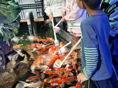 -太平洋海底世界