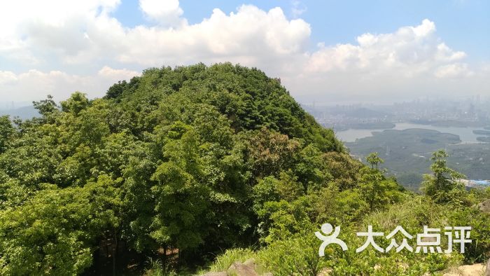 羊台山森林公園圖片 - 第14張