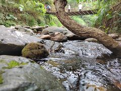 -梧桐山风景名胜区