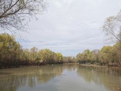 -西安浐灞国家湿地公园