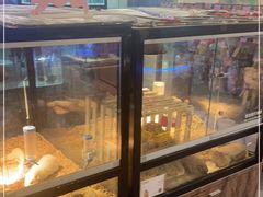 -宠物世家(仲盛世界商城店)