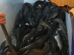 -龙继斑鱼庄(犀浦店)