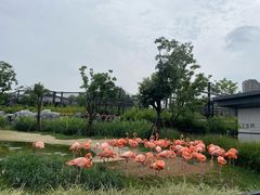 -武汉动物园
