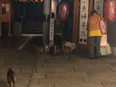 -七輪焼肉 榮華亭(難波店)