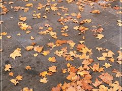 -徐家汇源景区-衡山坊