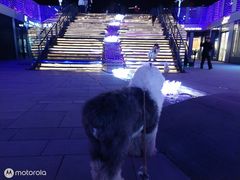-东方宫·中国兰州牛肉拉面(三里屯店)