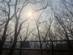-吉林市朱雀山国家森林公园