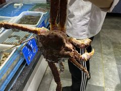 -新海渔港·胶东海鲜家常菜·家宴(奥体中心店)