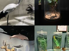 -中国湿地博物馆