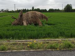 -嘉北郊野公园