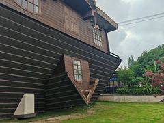 -金山农民画村-枫泾波兰倒置屋