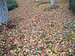 -白塘生态植物园