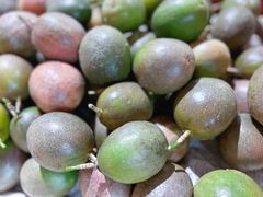 -曼阁市场水果批发市场