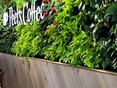 -Peet's Coffee皮爷咖啡(大学路店)