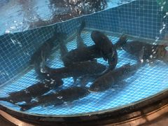 -梁家大院•农家菜(昆山会展中心店)