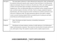 -北京派仕佳德动物医院·超导核磁·CT·神经科·骨科·内外科·急重症管理中心