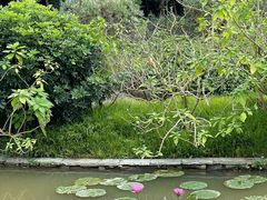 -云溪植物园