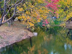 -长白岛森林公园