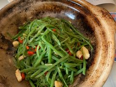 -橘子洲头湘菜馆