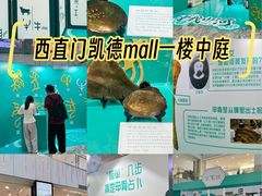 -凯德MALL(西直门店)