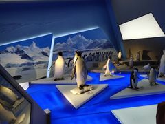 -贝林大翅鲸简餐厅(国家海洋博物馆店)