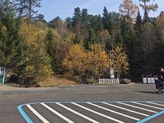 -五营红松林海景区