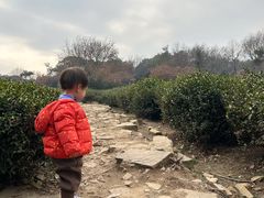 -兴福老面馆(寺路街店)