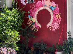 -溪岸路花鸟市场