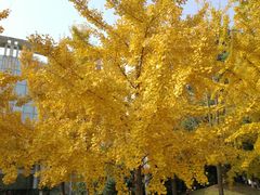 -中国计量大学(西校区)