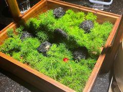 -小运河·公馆(国贸店)