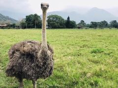-太鲁阁公园