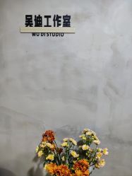-吴迪工作室