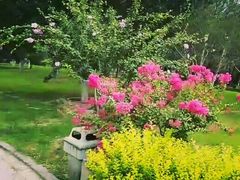 -石榴庄公园